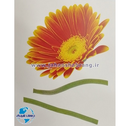 استیکر تزئینی تک گل ژربرا نارنجی کد 007
