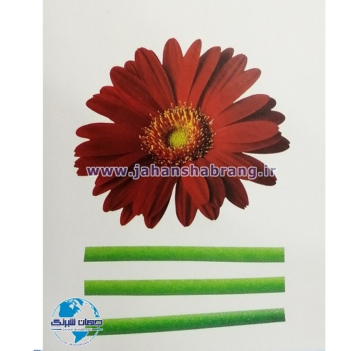 استیکر تزئینی تک گل ژربرا قرمز کد 001