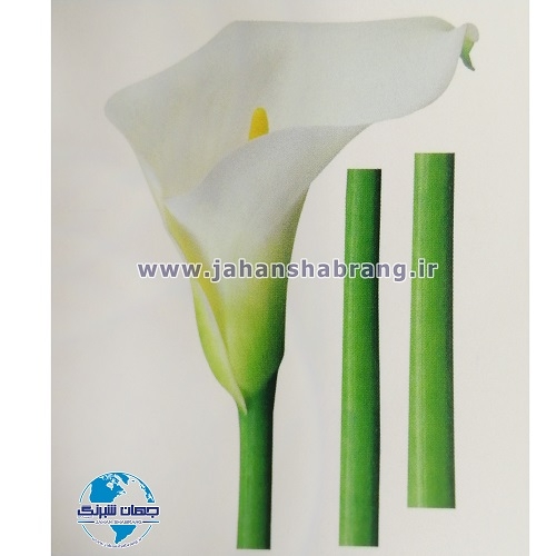استیکر تزئینی تک گل شیپوری سفید کد 006