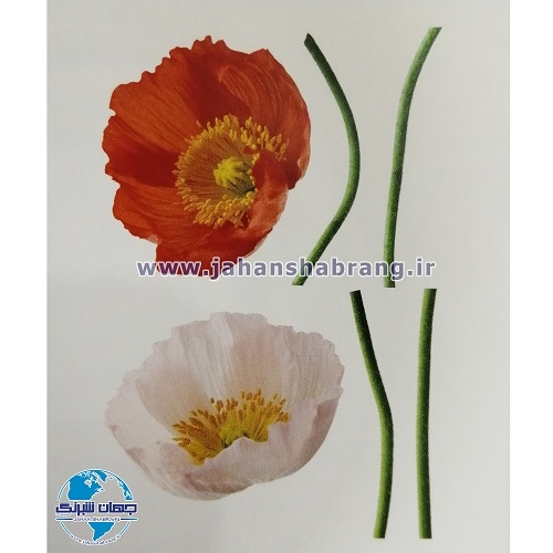 استیکر تزئینی گل شقایق کد 035
